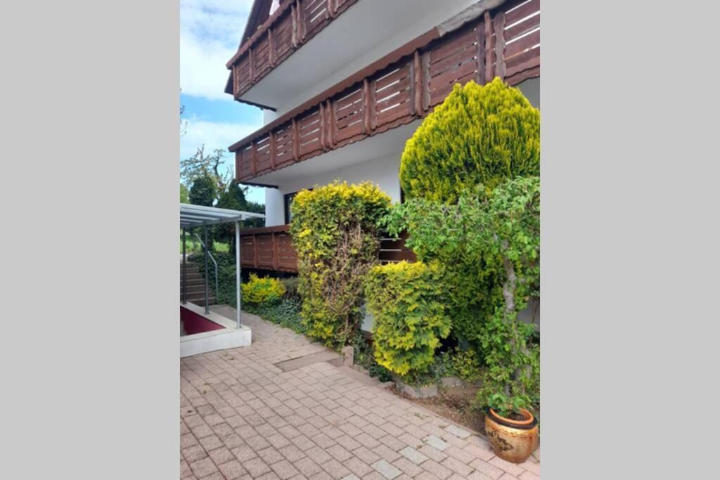 Souterrain Wohnung In Bensheim Kültér fotó