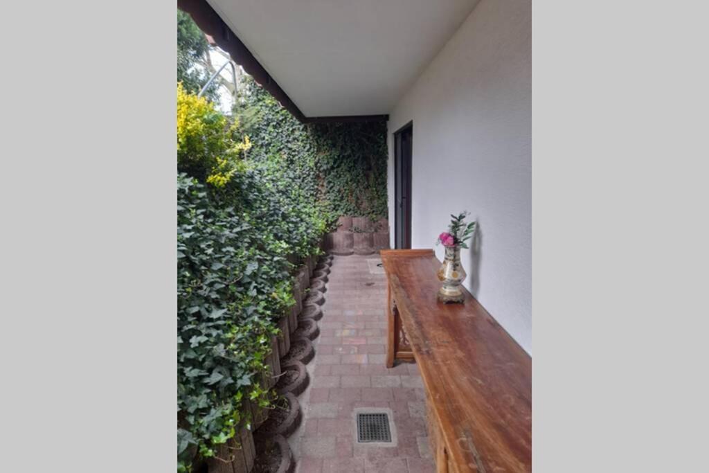 Souterrain Wohnung In Bensheim Kültér fotó